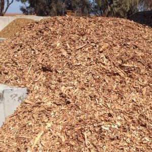 Pine Wood chips