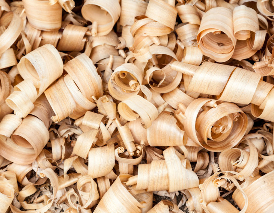 Wood Shavings